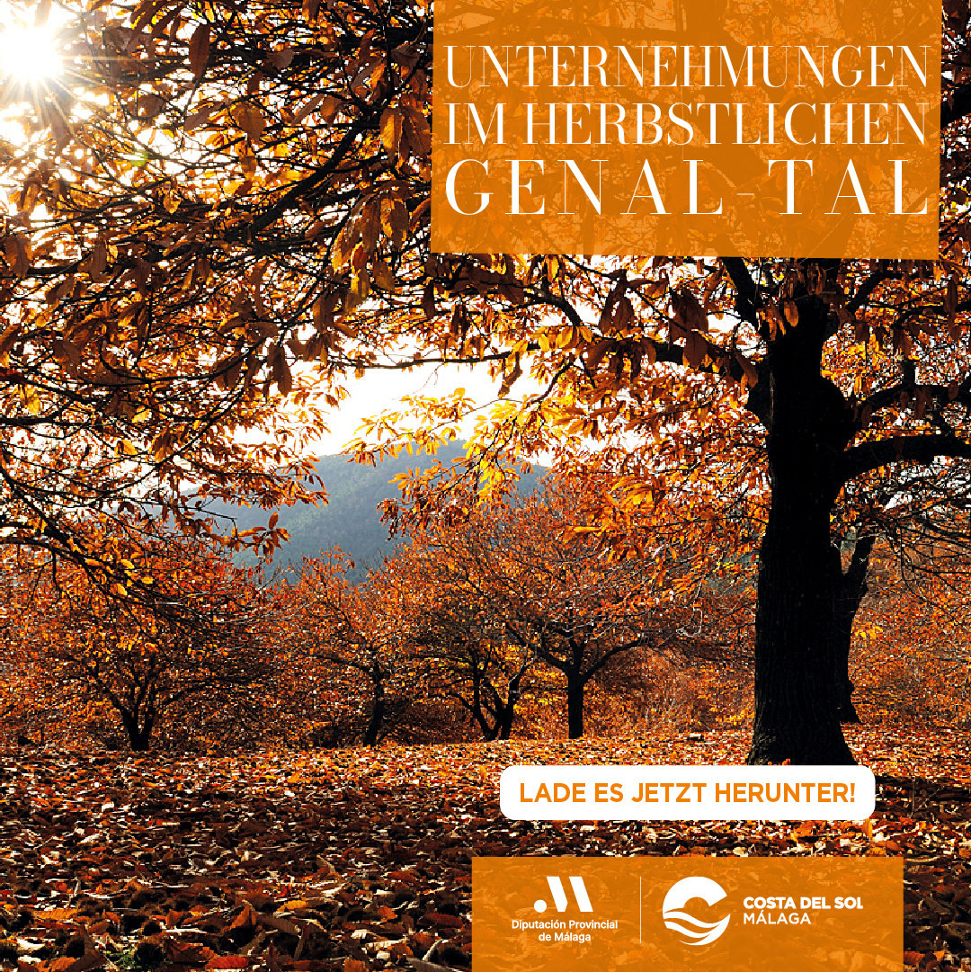 Nueva llamada a la acción