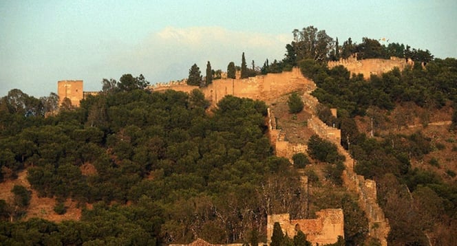 Imagen1-Aug-26-2025-11-38-23-1808-AM