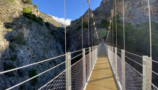 Puente El Saltillo 2 (1)