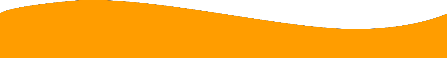 ola naranja separador-1