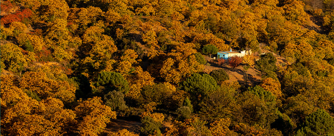 otoño en el Valle del Genal