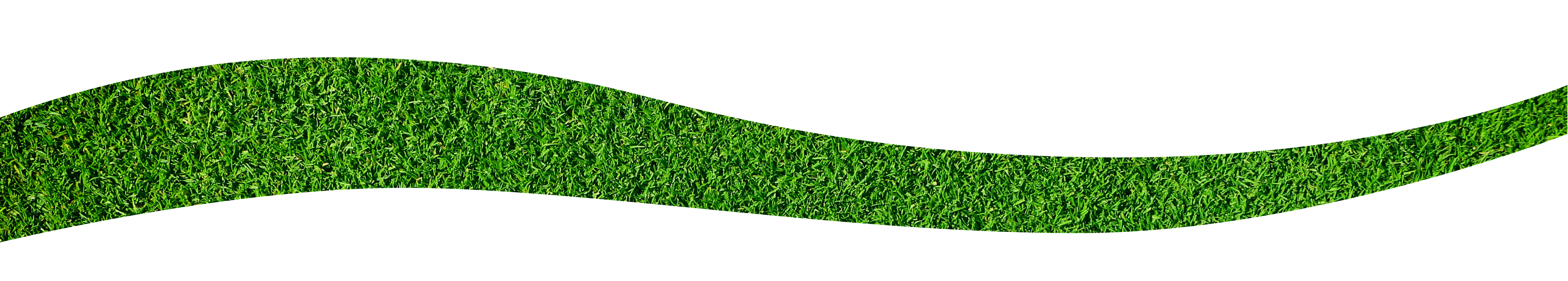 separador_4 separador_4