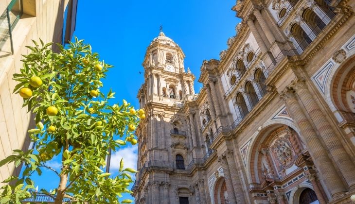 Catedral, Centro histórico de Málaga