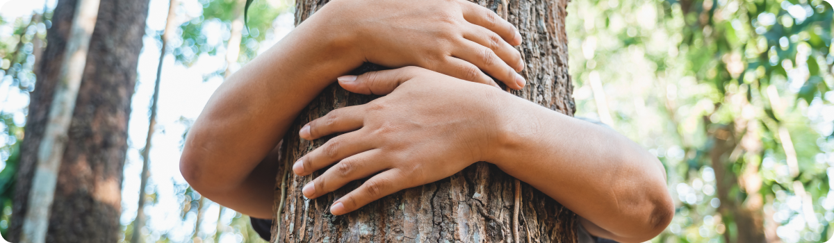 Foto-abrazo-arbol