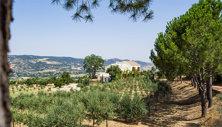 LA organic experience