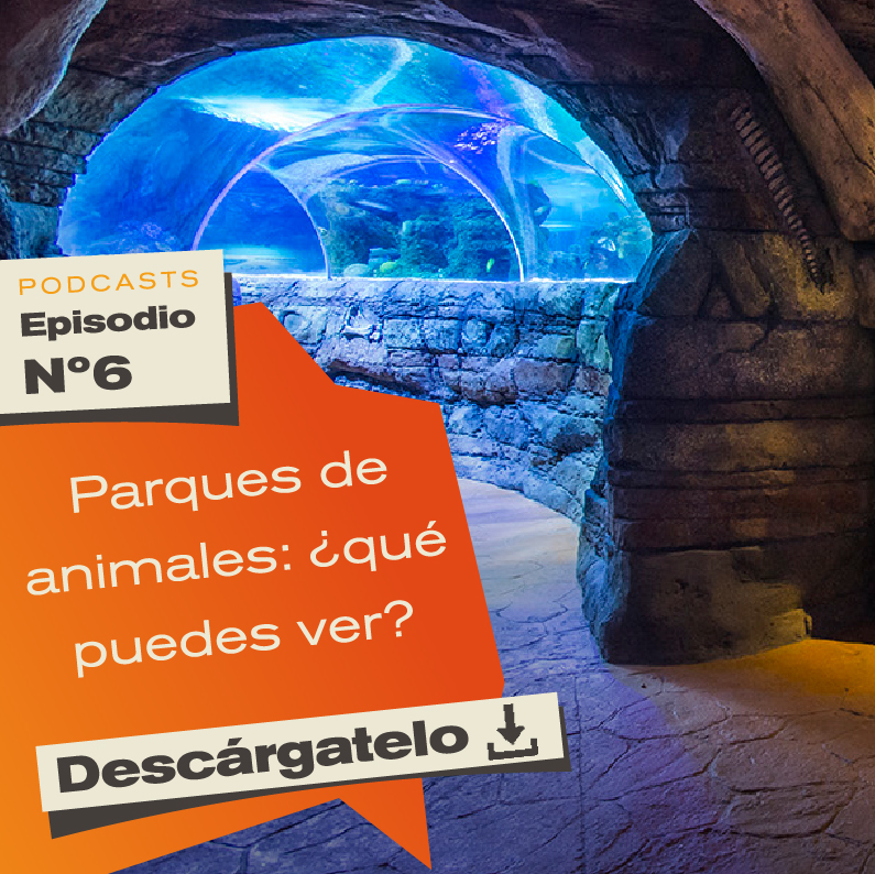 Mesa de trabajo 1 copia 3a-2 Mesa de trabajo 1 copia 3a-2