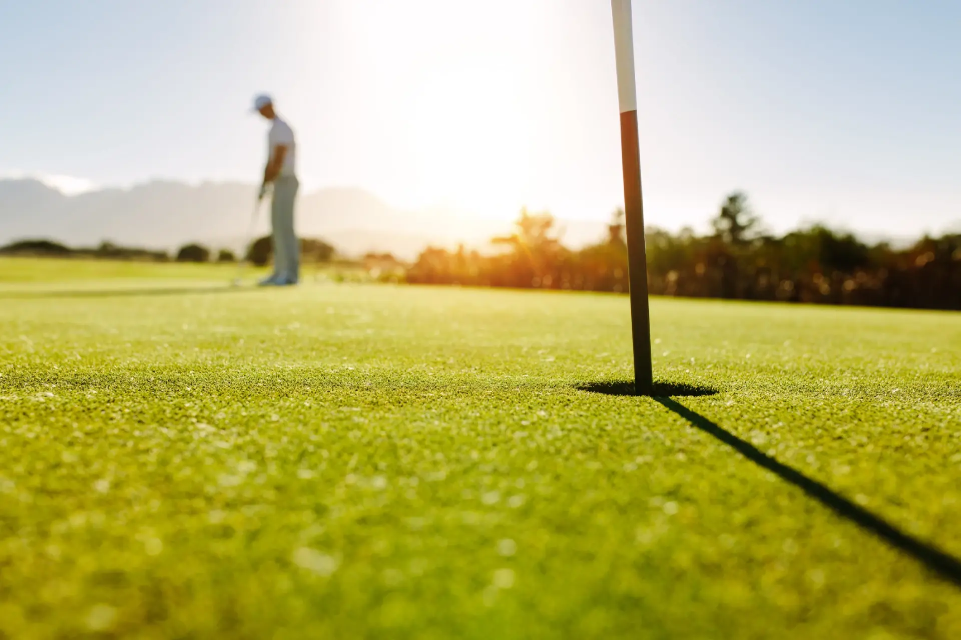 Microsite golf