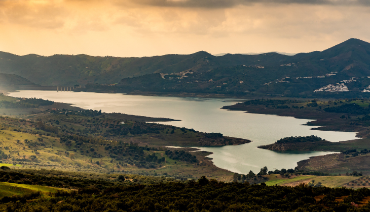 how to get to the olive trees 