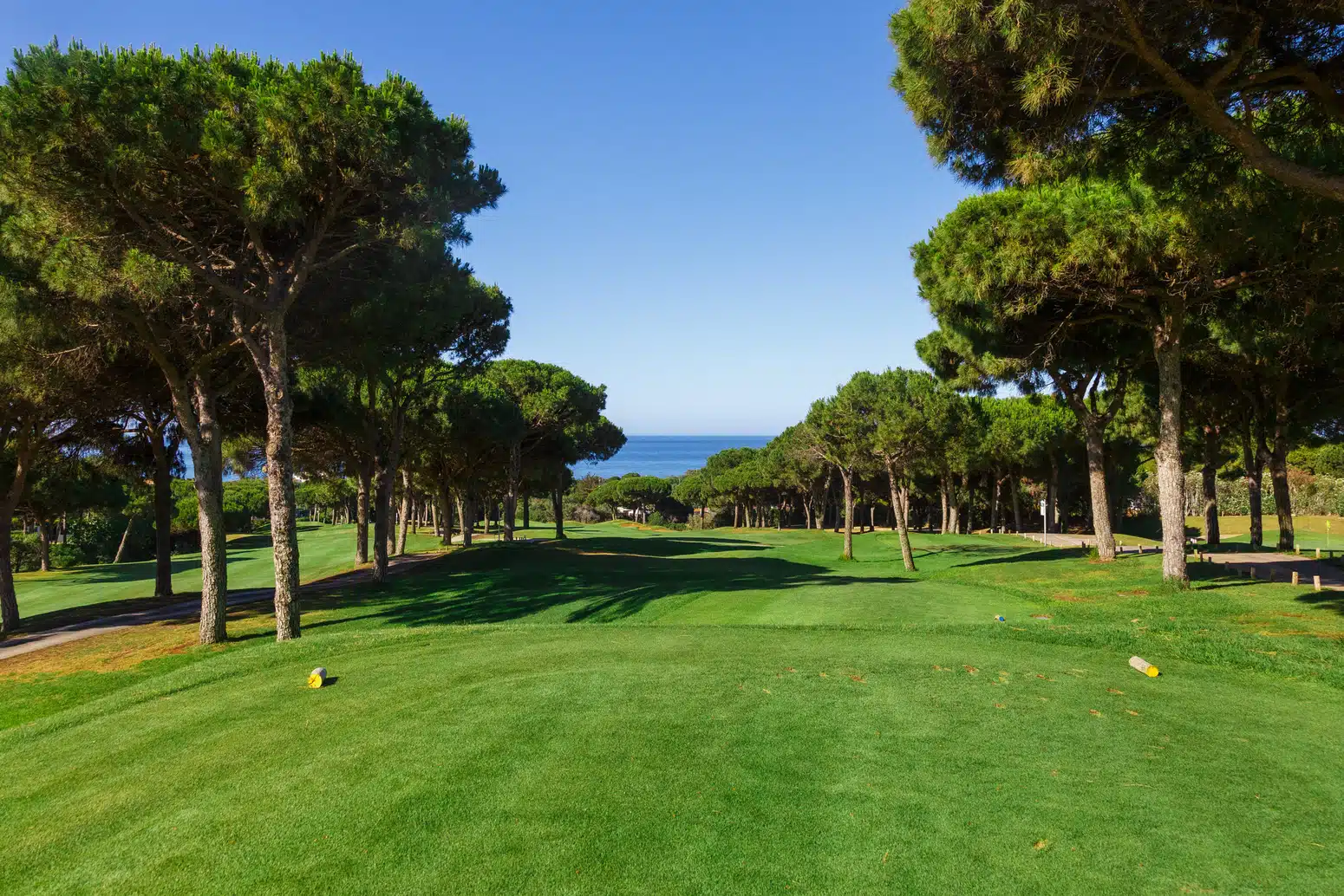 campo-golf-2