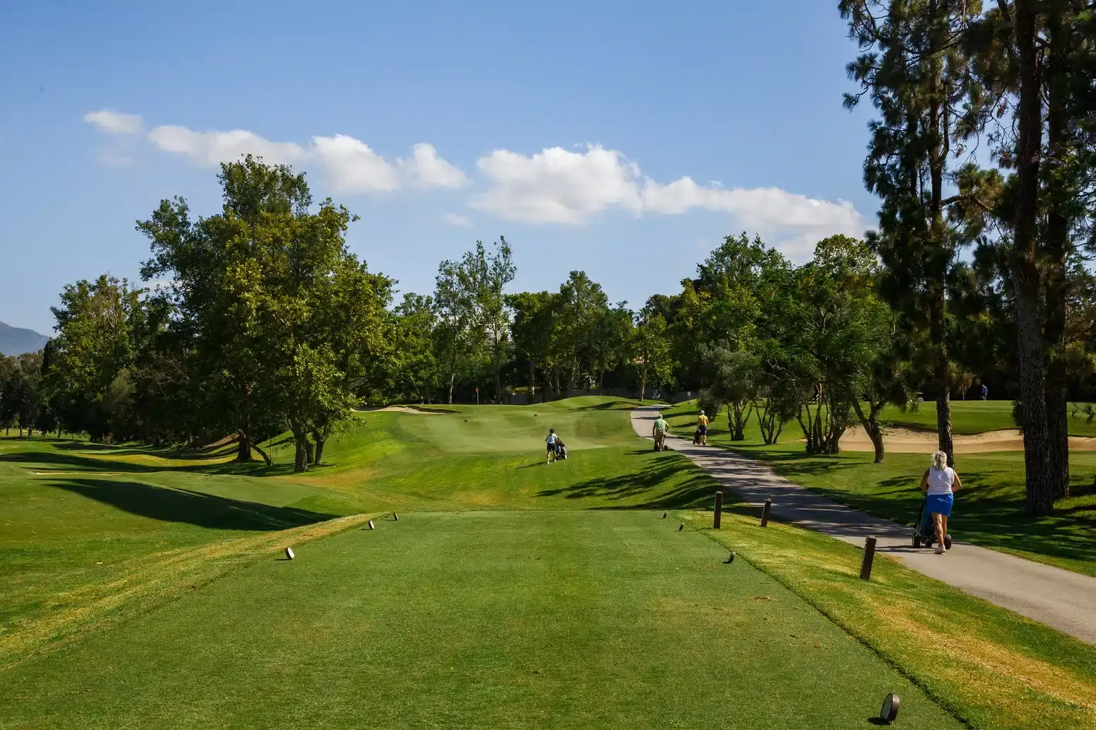 campo-golf-3