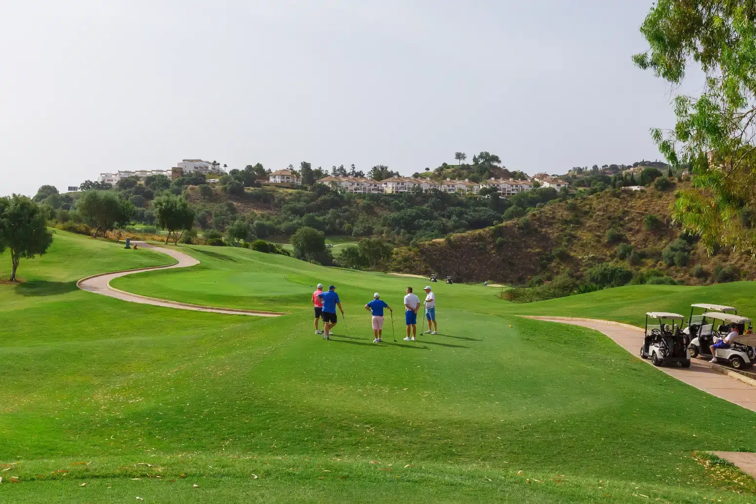 campo-golf-4