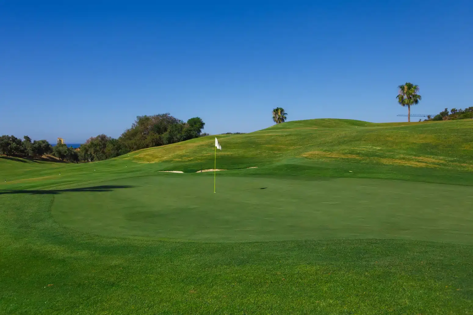 campo-golf-6
