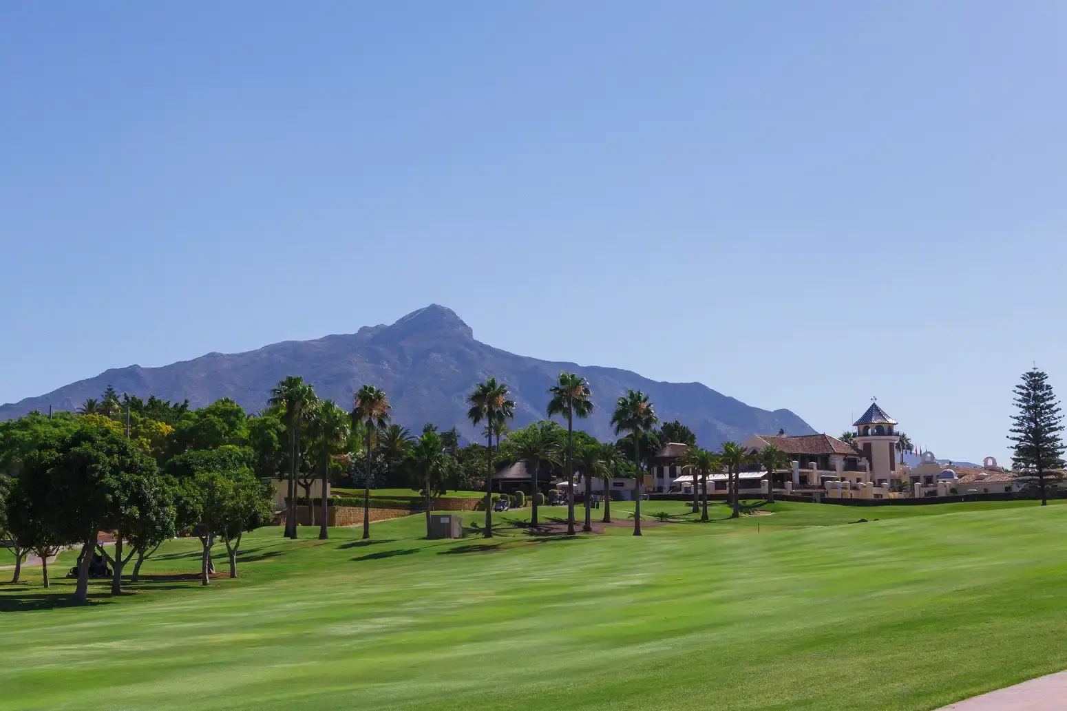 campo-golf-7