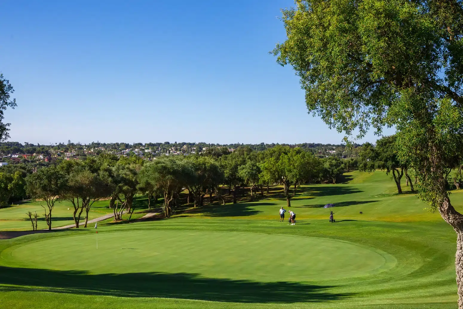 campo-golf