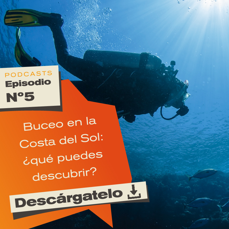 descargatelo-buceo descargatelo-buceo