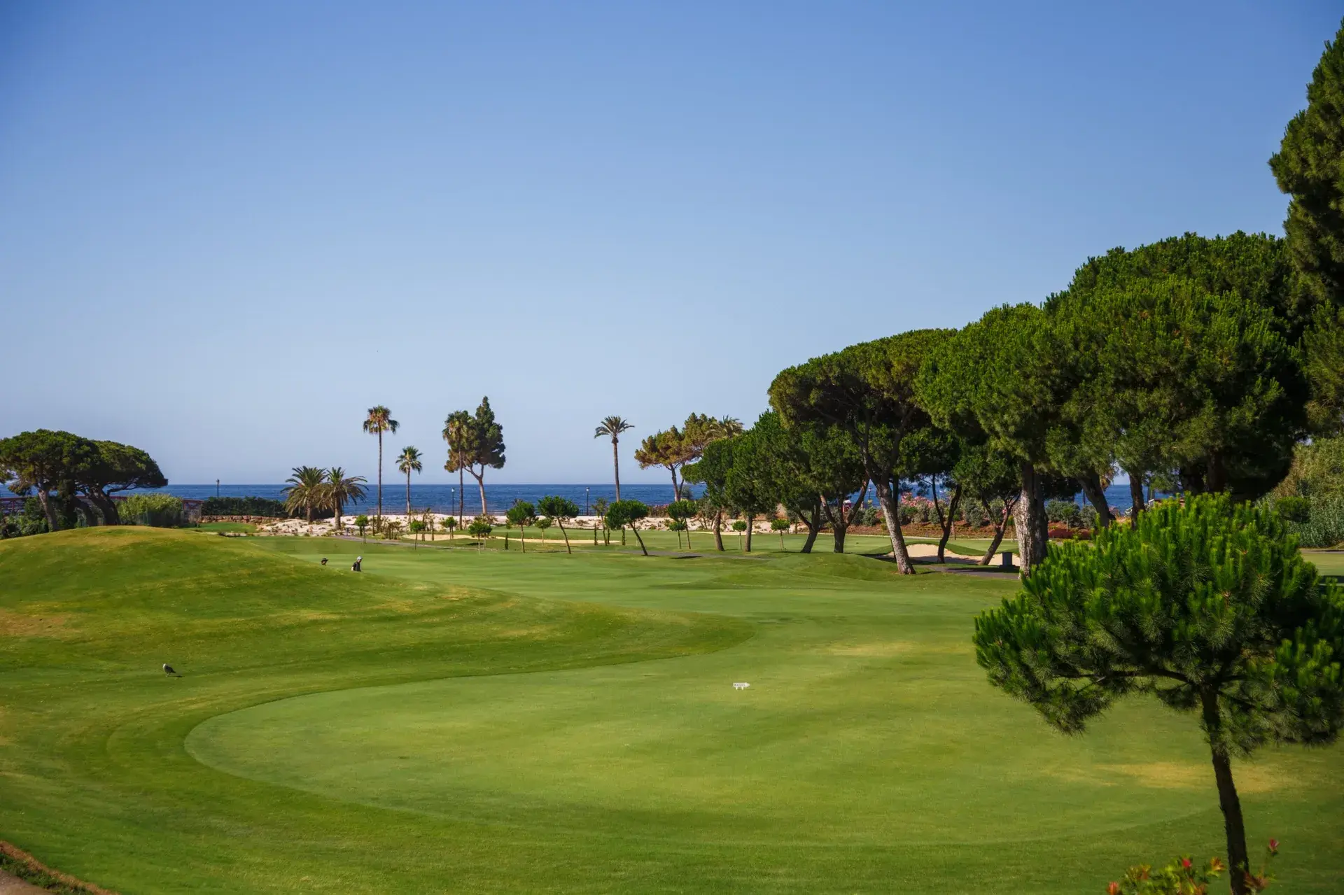 rio-real-golf