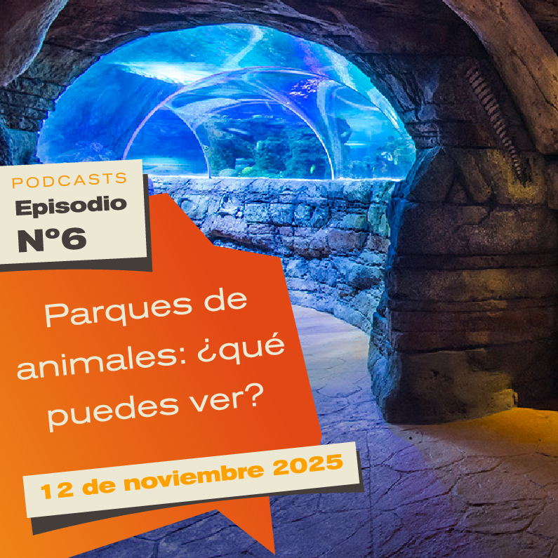 web-podcast-6-animales web-podcast-6-animales