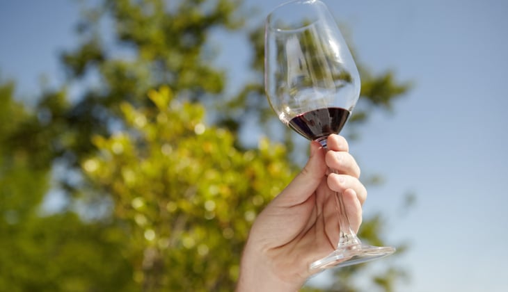 wine tasting